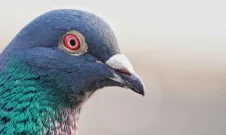 260212194447.webp